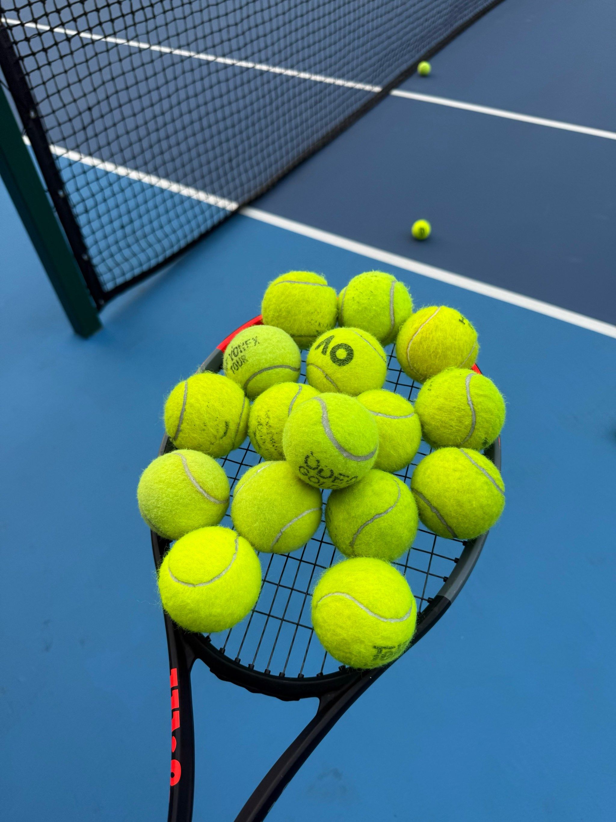 的特别体验 的特别体验